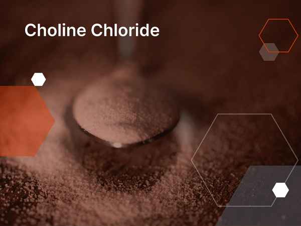 Choline Chloride